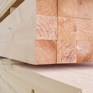 Douglas Fir | Posts | FS
