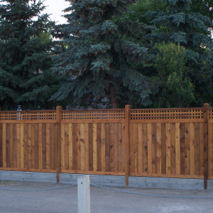 Fence | Lattice Top | Cedar