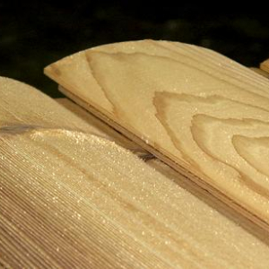 Log Siding | Sample | 2×8 | Cedar